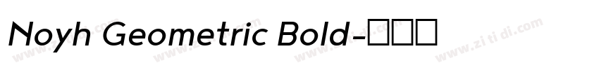Noyh Geometric Bold字体转换